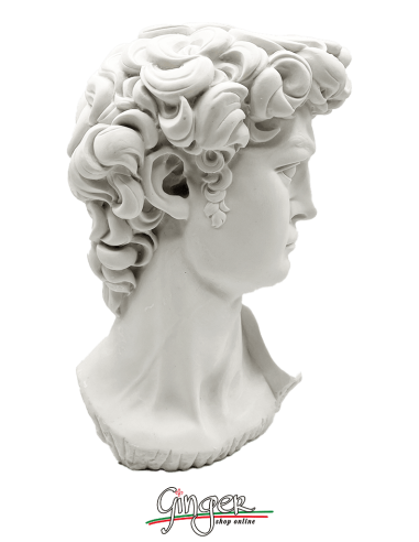 David by Michelangelo - 11,41 in