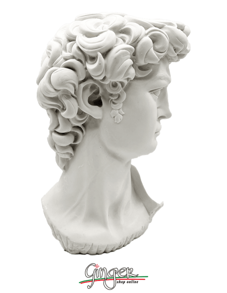 David - Testa 29 cm