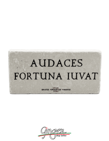 "New" - Magnet in real raw Italian marble - Audaces fortuna iuvat (Fortune favours the brave)