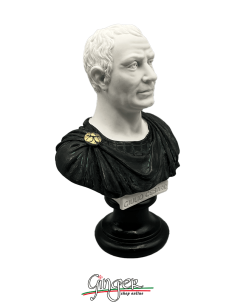Ancient Rome - Julius Caesar - bust 6.3 in. (16 cm) bicolor 2