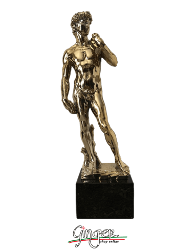 Trofei personalizzati: David di Michelangelo