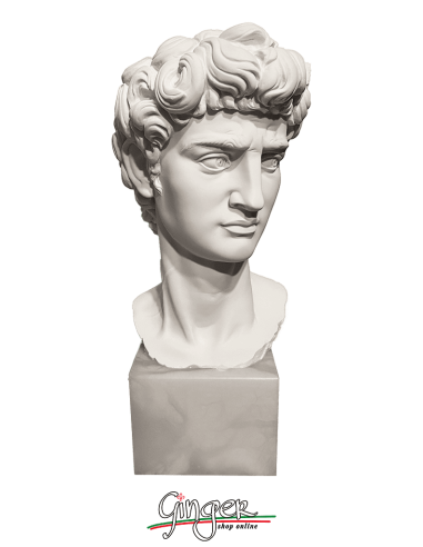 Testa del David (con base in alabastro)