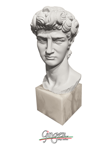Testa del David (con base in alabastro)