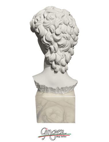 Testa del David (con base in alabastro)