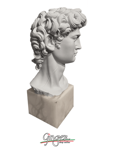 Testa del David (con base in alabastro)