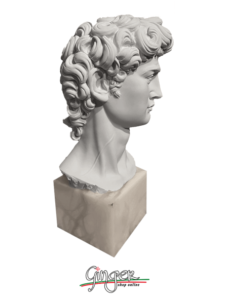 Testa del David (con base in alabastro)