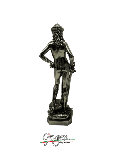 David di Donatello 24 -28 cm - color bronzo lux