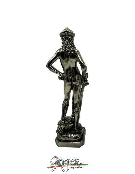 David di Donatello 24 -28 cm - color bronzo lux