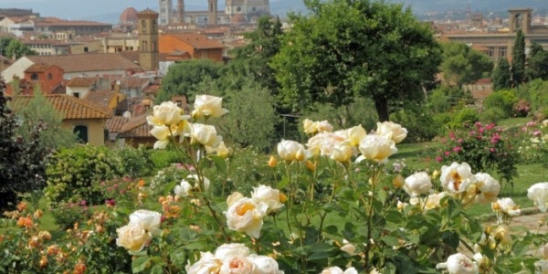 Il giardino delle Rose